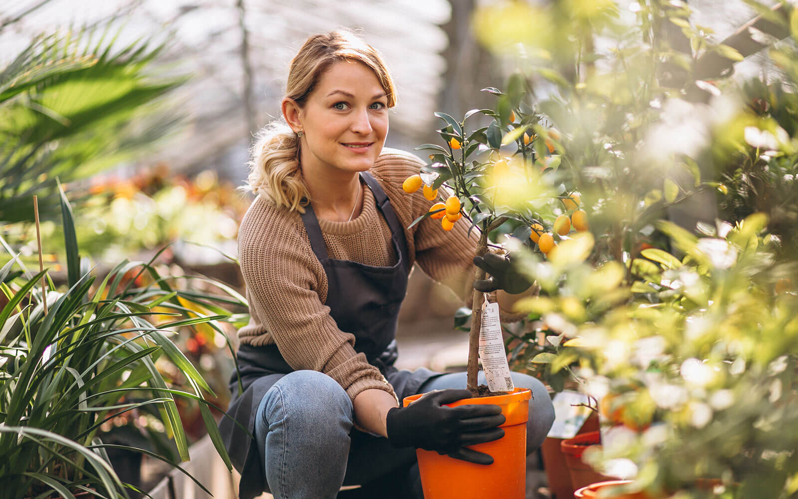 Top Tips for Growing a Healthy Garden