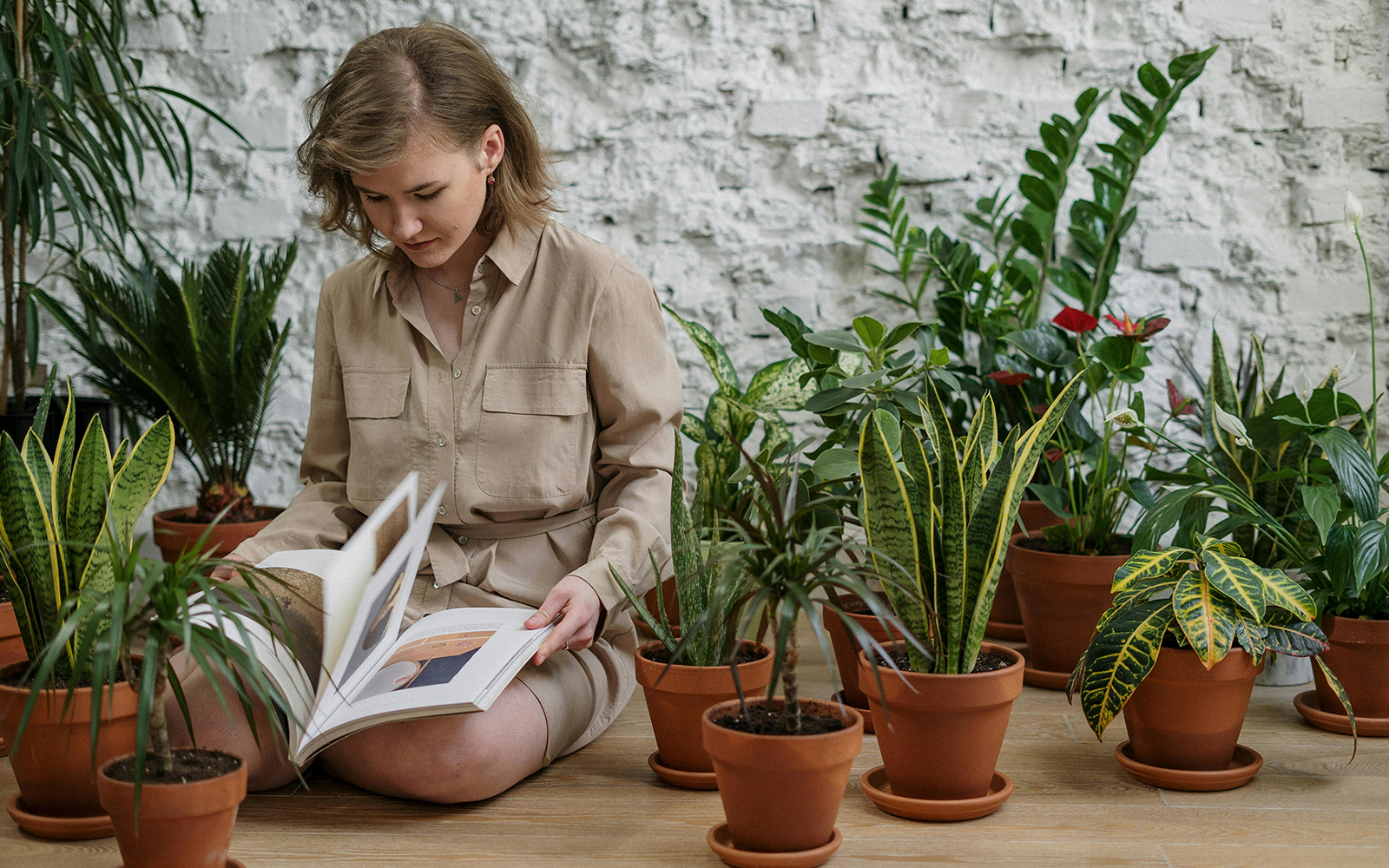 Organic Gardening Techniques for Beginners