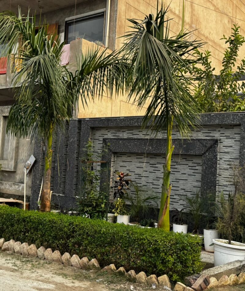 WhatsApp Image 2025-11-21 at 4.39.18 PM