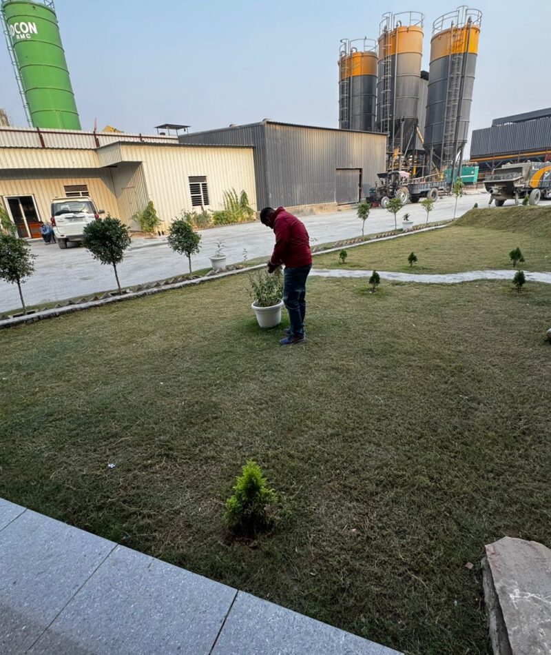 WhatsApp Image 2025-11-21 at 4.39.24 PM